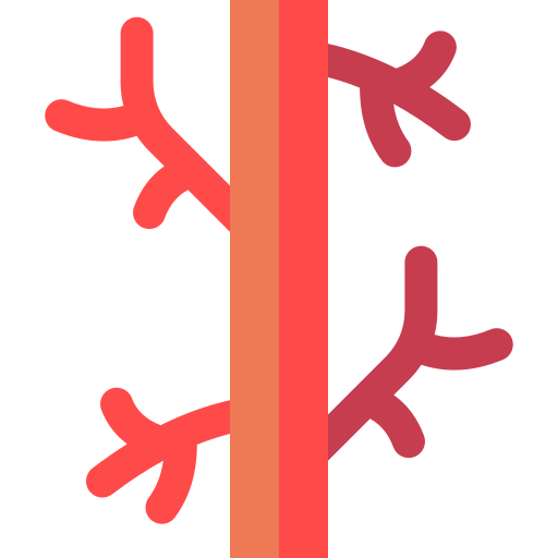 escleroterapia para insuficiencia venosa